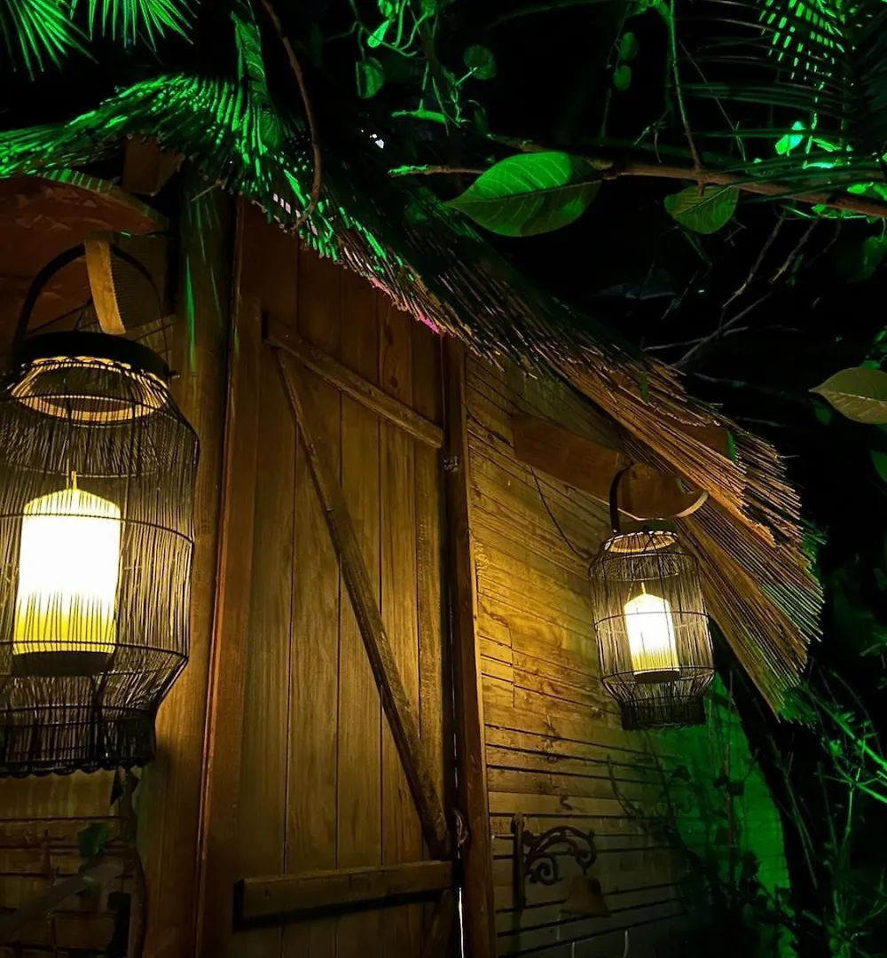 La Foret Tropicale Concepts En Barousse Créchets
